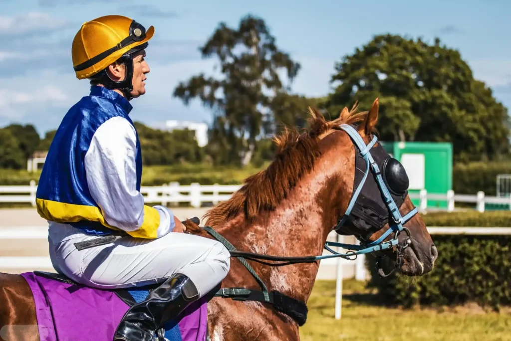 Discover the Best Horse Racing Betting Sites for Winning Big